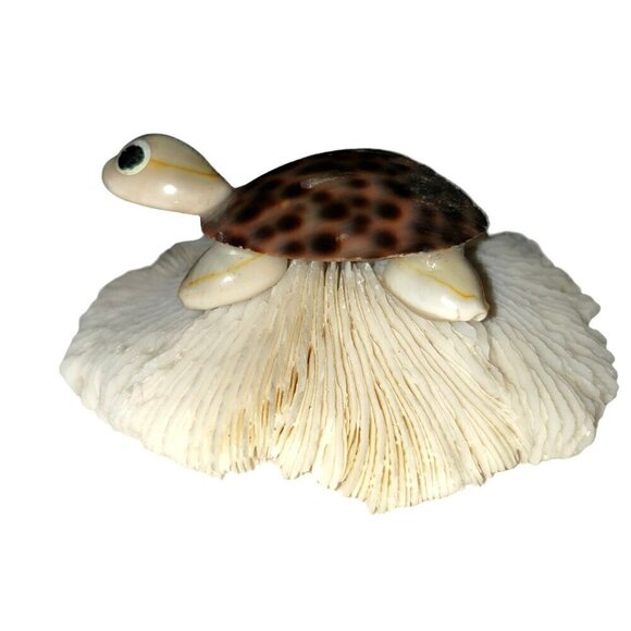 Vtg Seashell Turtle White Mushroom Coral Souviner Travel Beach Desination Kitch - Picture 3 of 5